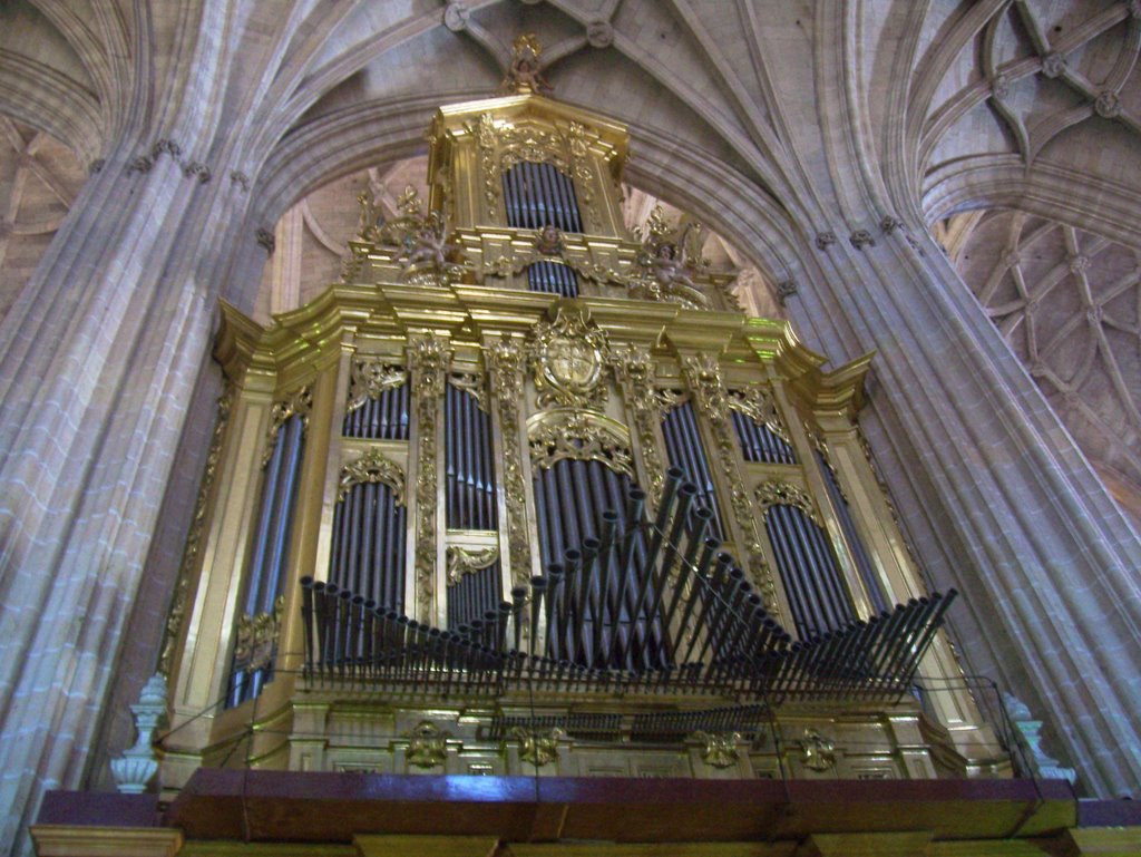 organo catedral segovia
