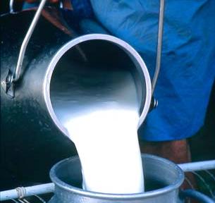 Los ganaderos segovianos empiezan a cobrar las ayudas excepcionales al vacuno de leche
